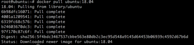 Docker successful download of Ubuntu image